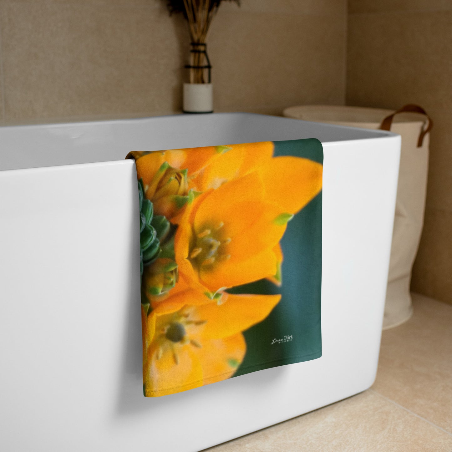 Orange Star  'Symmetry'