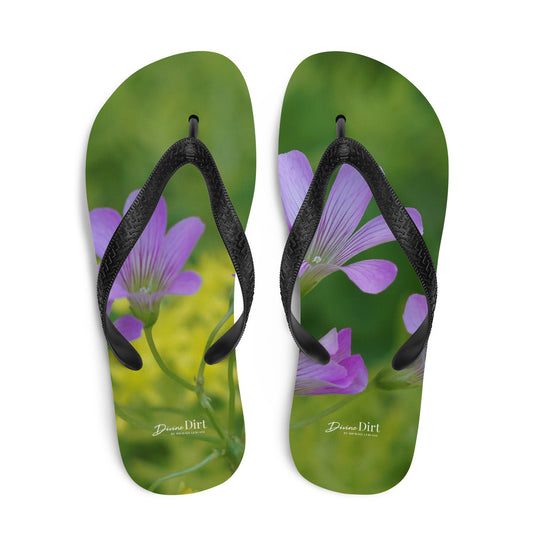 'Unplanned Beauty'.  Oxalis & Sedum Flip-Flops