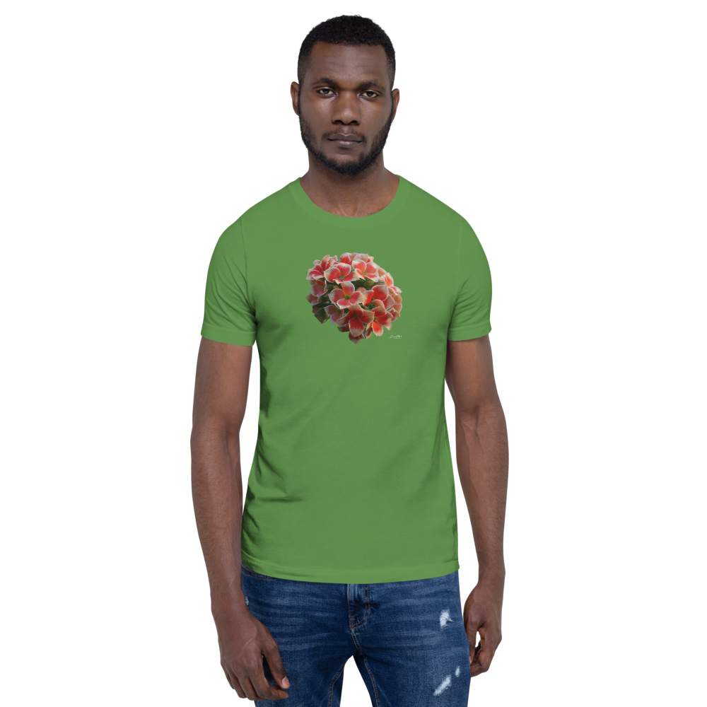 Bi Color Orange Kalanchoe