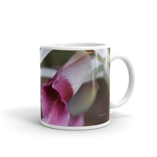 Burgundy Nun's Cap Orchid "Breathe and take your next step"