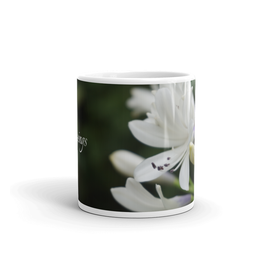 White Agapanthus 'Blessings'