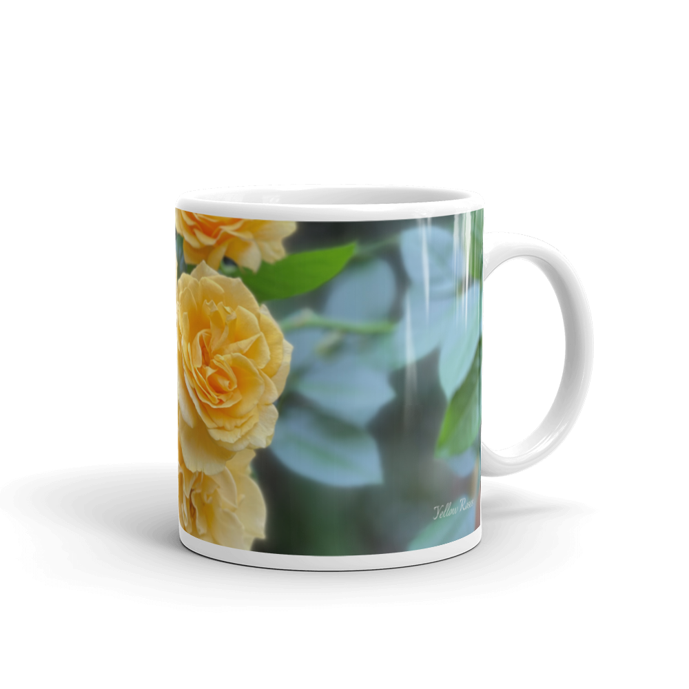 Yellow Roses 'Believe in Your Dreams'