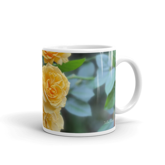 Yellow Roses 'Believe in Your Dreams'